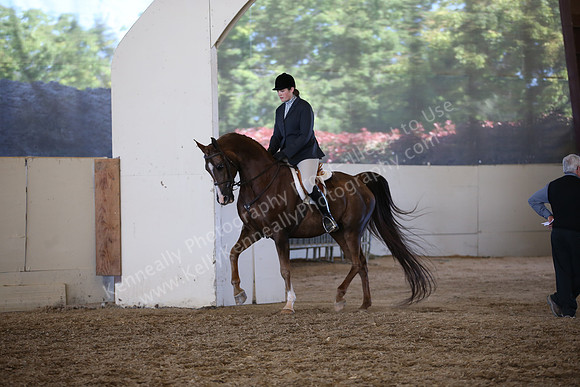 AHANC_Show18_SatPM_3763