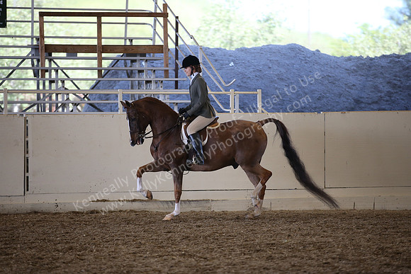 AHANC_Show18_SatPM_3761