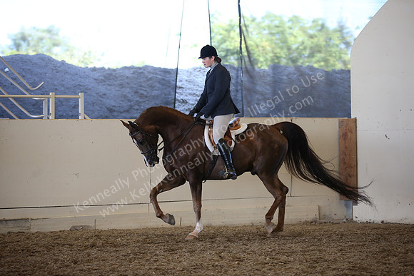 AHANC_Show18_SatPM_3765