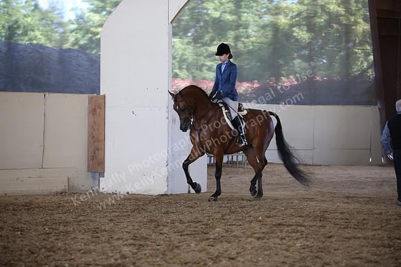 AHANC_Show18_SatPM_3769