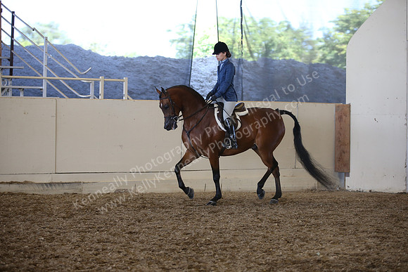 AHANC_Show18_SatPM_3771