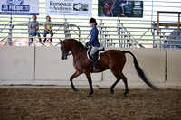 AHANC_Show18_SatPM_3773