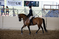 AHANC_Show18_SatPM_3779