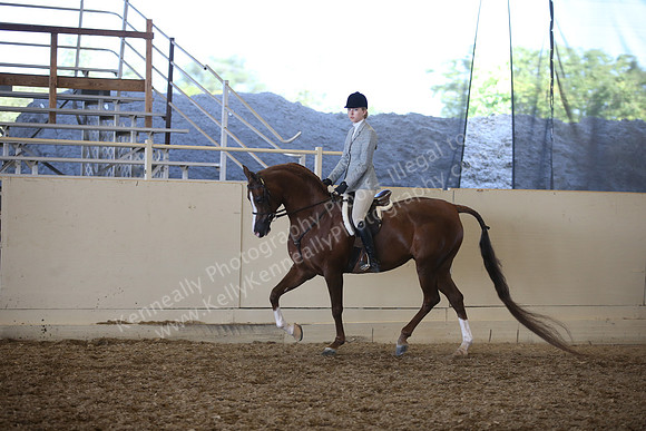 AHANC_Show18_SatPM_3784
