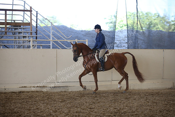 AHANC_Show18_SatPM_3789