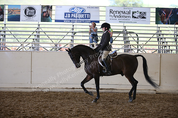 AHANC_Show18_SatPM_3795