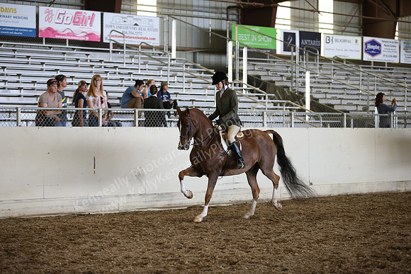 AHANC_Show18_SatPM_3801