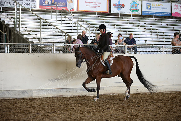 AHANC_Show18_SatPM_3805