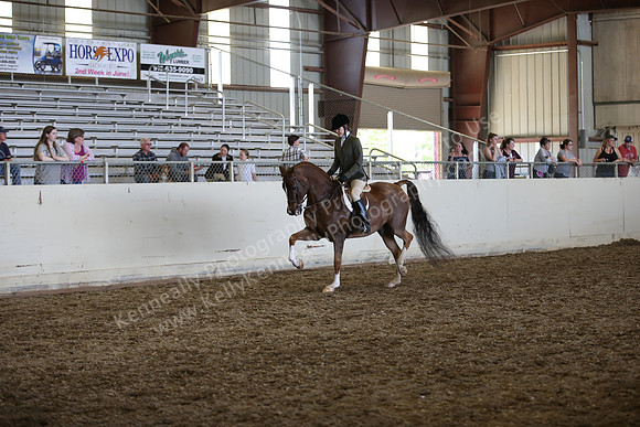 AHANC_Show18_SatPM_3818