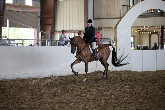 AHANC_Show18_SatPM_3829