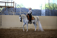 Class 129 Arabian Western Pl AAOTR Champ