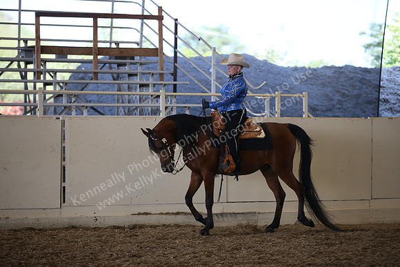 AHANC_Show18_SatPM_3900