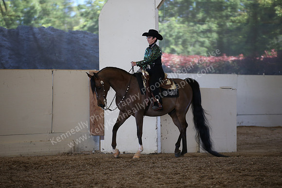 AHANC_Show18_SatPM_3901