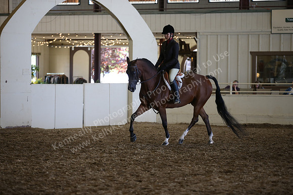 AHANC_Show18_SatPM_3831