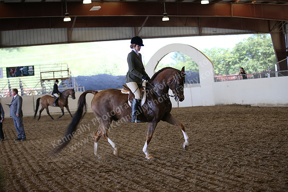 AHANC_Show18_SatPM_3833