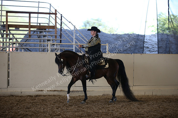 AHANC_Show18_SatPM_3905
