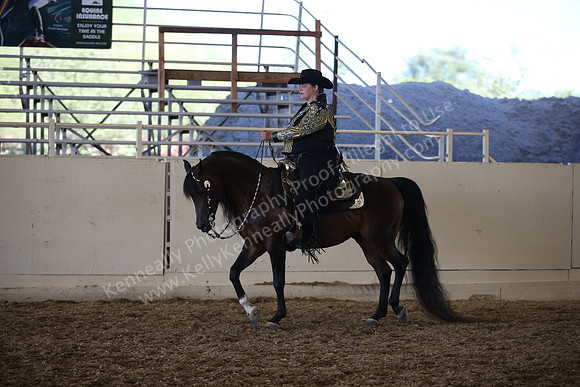 AHANC_Show18_SatPM_3906