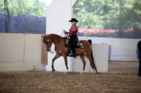 AHANC_Show18_SatPM_3908