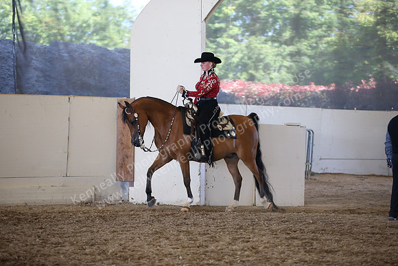 AHANC_Show18_SatPM_3908