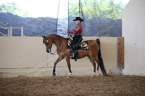 AHANC_Show18_SatPM_3909