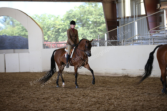 AHANC_Show18_SatPM_3838