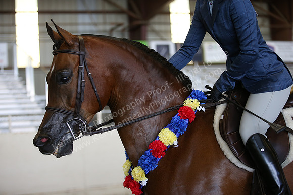 AHANC_Show18_SatPM_3861