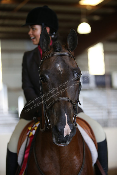 AHANC_Show18_SatPM_3867