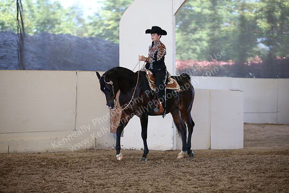AHANC_Show18_SatPM_3919