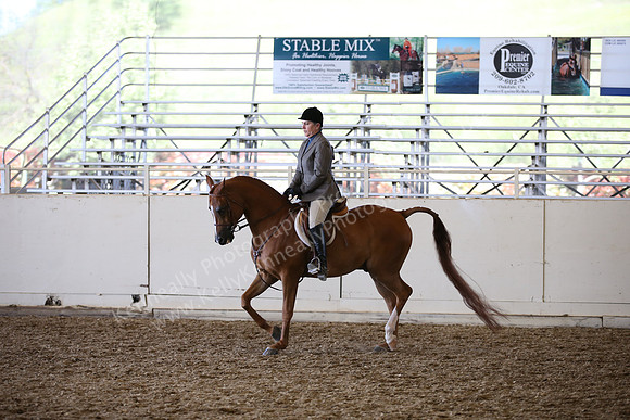 AHANC_Show18_SatPM_3976