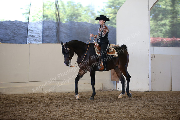AHANC_Show18_SatPM_3920