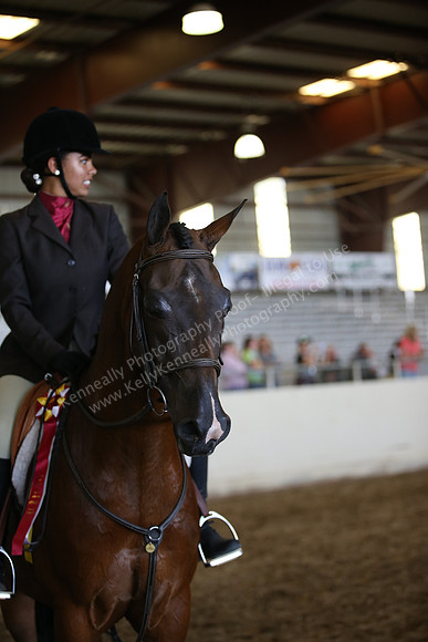 AHANC_Show18_SatPM_3869