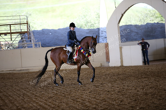 AHANC_Show18_SatPM_3871