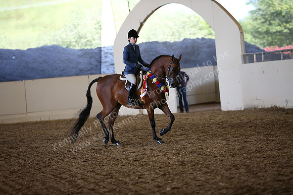 AHANC_Show18_SatPM_3872