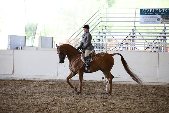 AHANC_Show18_SatPM_3977
