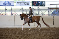 AHANC_Show18_SatPM_3981