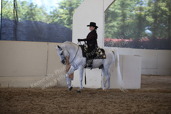 AHANC_Show18_SatPM_3926