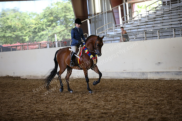 AHANC_Show18_SatPM_3874