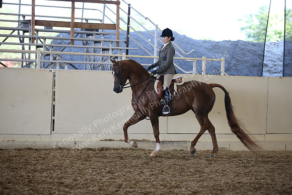 AHANC_Show18_SatPM_3984