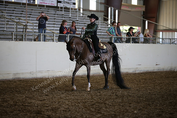 AHANC_Show18_SatPM_3930