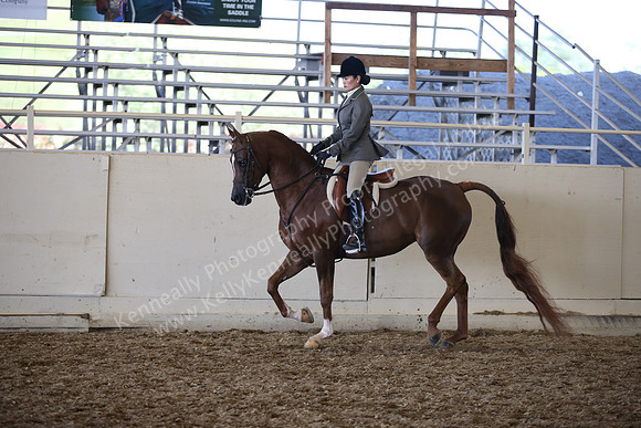 AHANC_Show18_SatPM_3985