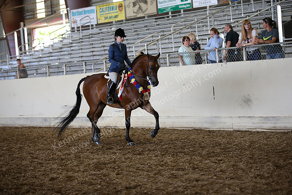 AHANC_Show18_SatPM_3875