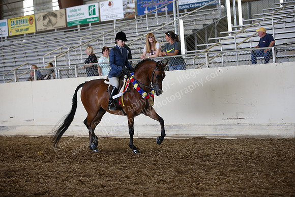 AHANC_Show18_SatPM_3876