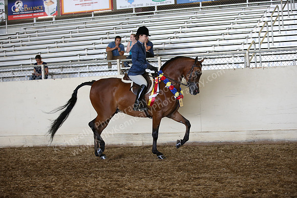 AHANC_Show18_SatPM_3878