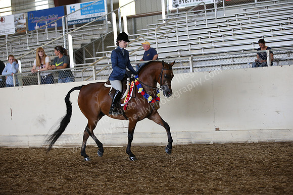 AHANC_Show18_SatPM_3877