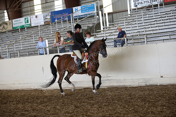 AHANC_Show18_SatPM_3882