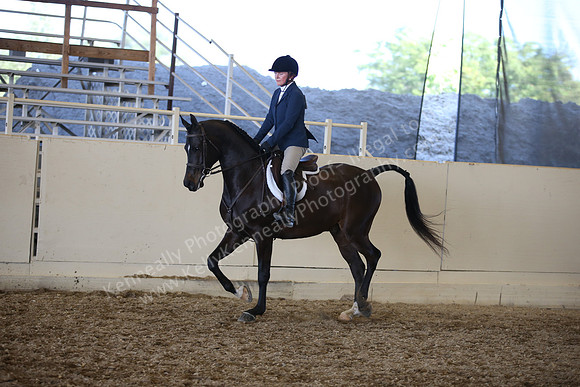 AHANC_Show18_SatPM_3992