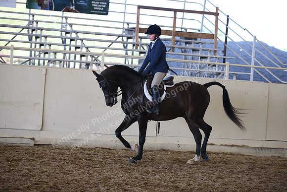 AHANC_Show18_SatPM_3993