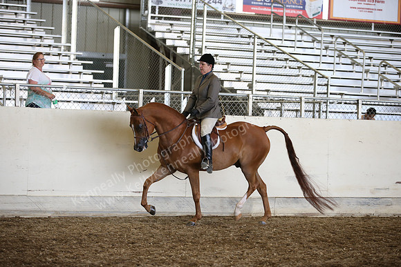 AHANC_Show18_SatPM_3994