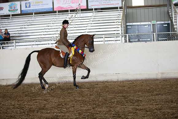 AHANC_Show18_SatPM_3891