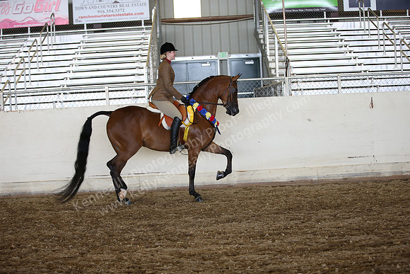 AHANC_Show18_SatPM_3892